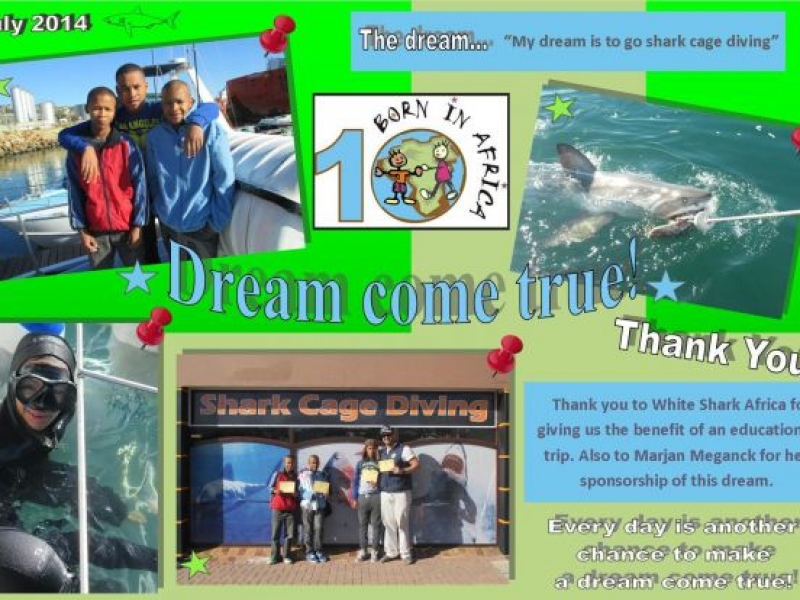 July 2014 - To go shark cage diving