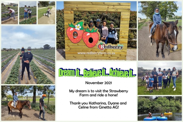 11. strawberry horse Medium