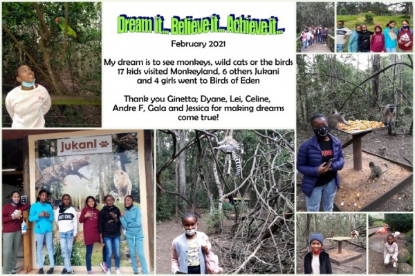 2. MonkeysBirdsJukani Small