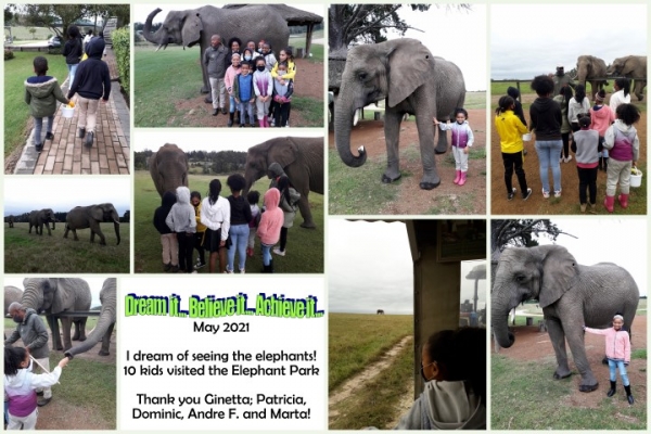5. Elephant Park Small