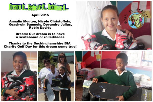 resizedimage600399 DCT Scate