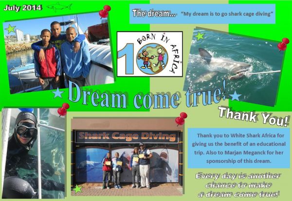 resizedimage600414 DCT July 14 Sharks